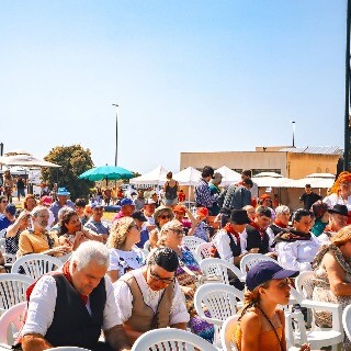Imagem da Festival de Danas e Cantares: o palco onde todos brilham