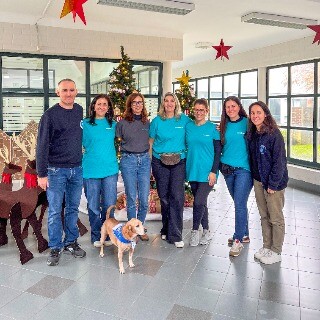 Imagem da Volunt�rios do Novo Banco oferecem um Natal mais acolhedor aos funcion�rios
