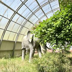 Galeria - Imagem 10 da Visita ao Parque Biolgico de Gaia