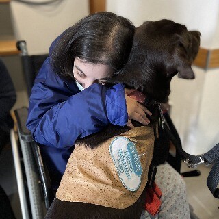 Imagem da Atividades na ALADI: Terapia Assistida por Animais