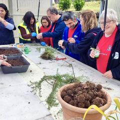 Galeria - Imagem 5 da Utentes fazem voluntariado em diversas reas