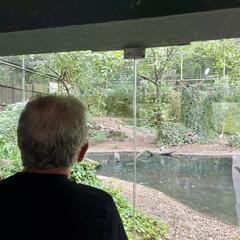 Galeria - Imagem 1 da Visita ao Parque Biolgico de Gaia